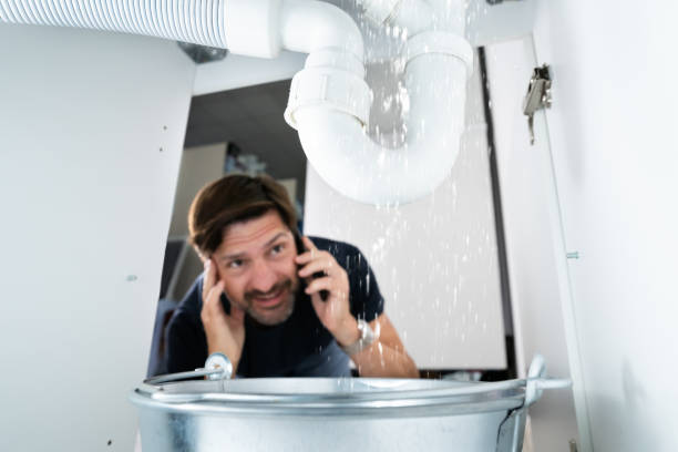 Best Plumbing Inspection Services  in Greendale, IN