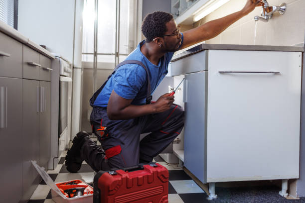 Best Plumbing Inspection Services  in Greendale, IN